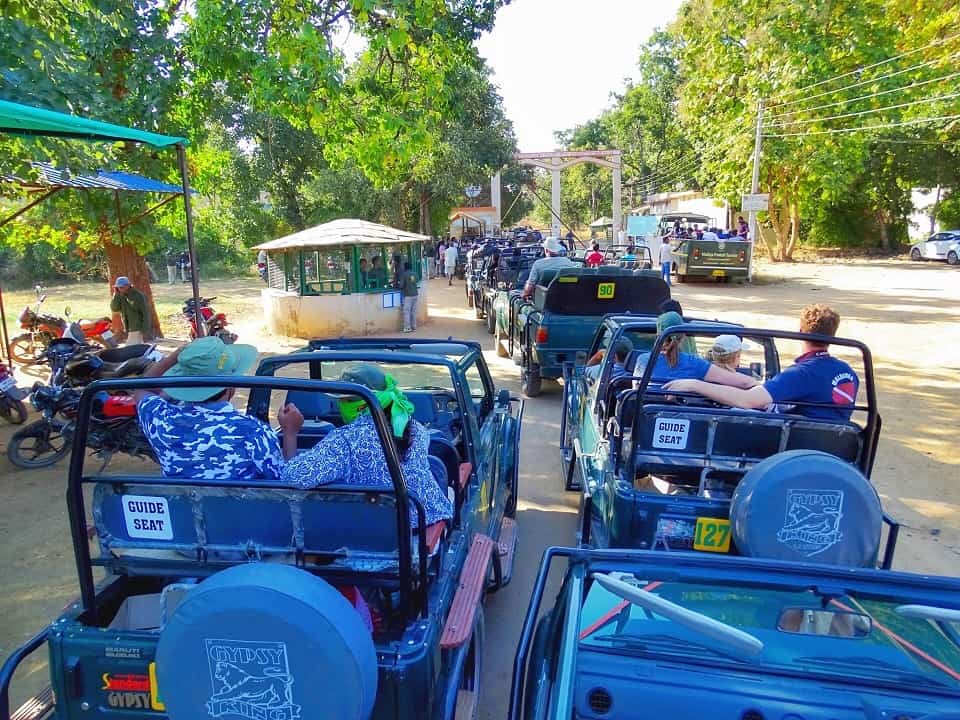 Pench National Park
