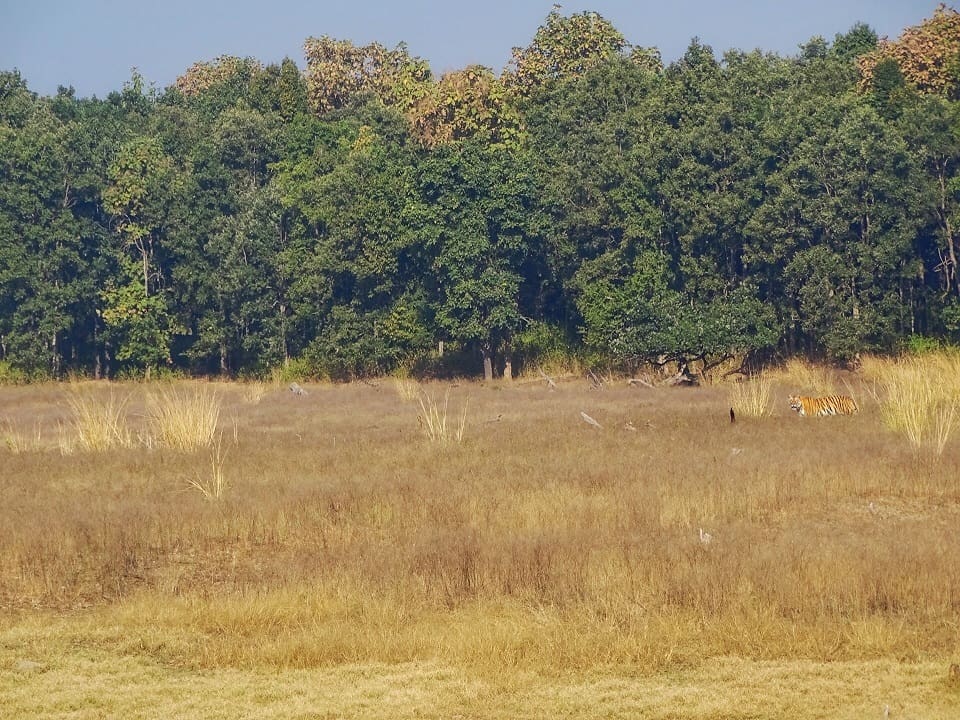 Pench National Park