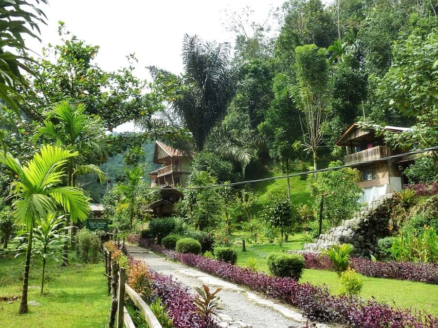 Tips bukit lawang
