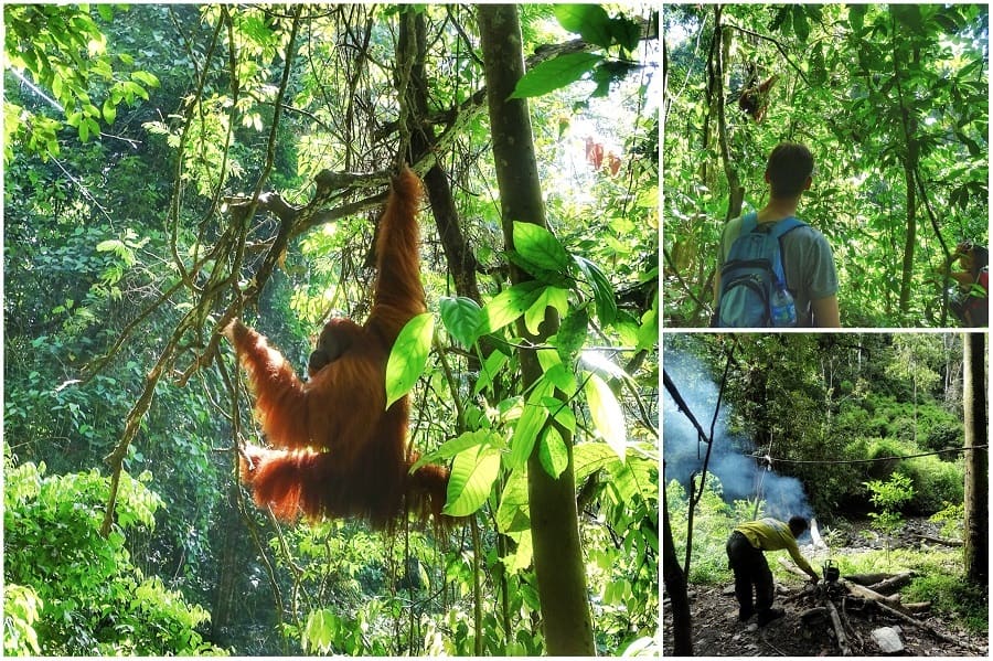 Vakantie Sumatra