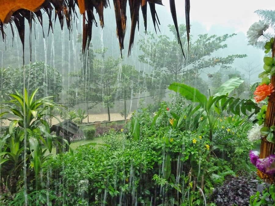 Sumatra