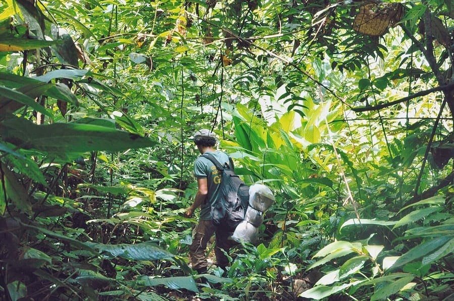 Jungle Trekking Sumatra