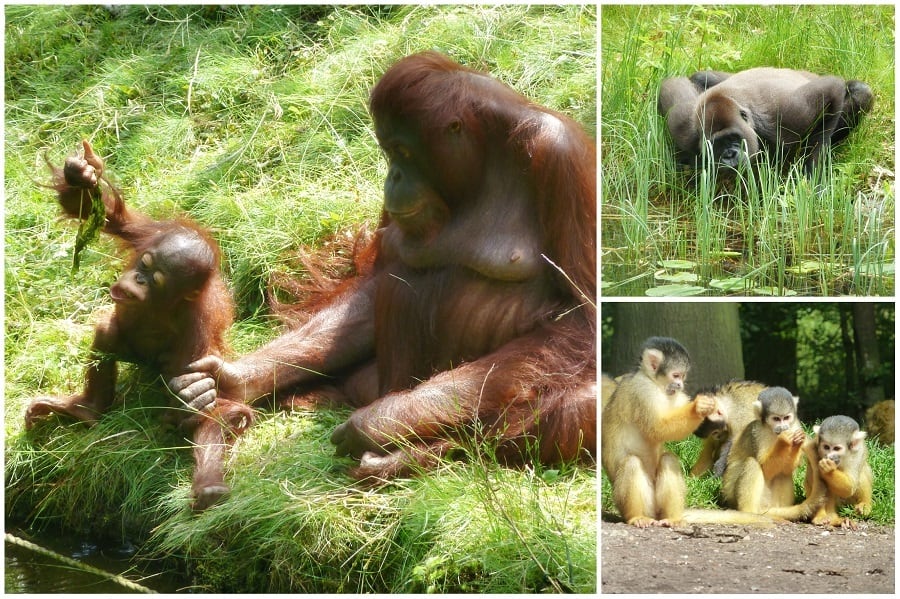 weekendje weg op de veluwe