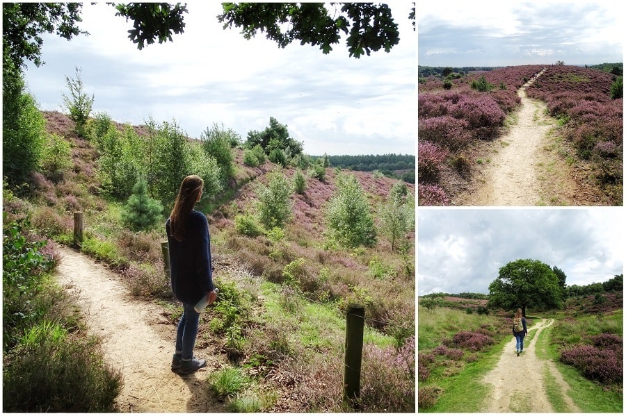 weekendje weg op de veluwe
