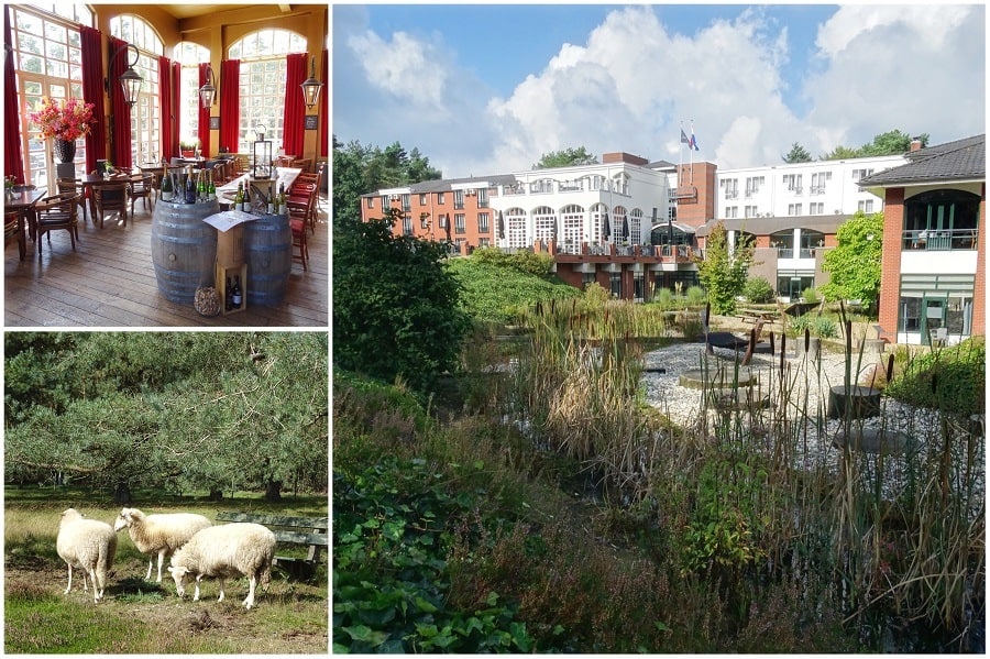 weekendje weg op de veluwe