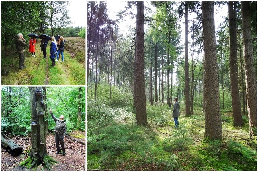 weekendje weg op de veluwe