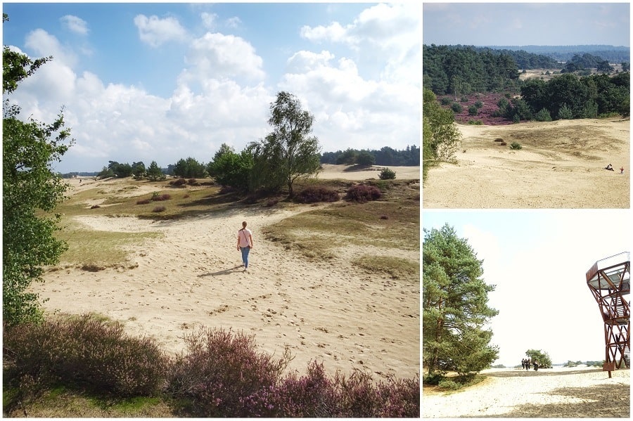 Weekendje weg op de Veluwe