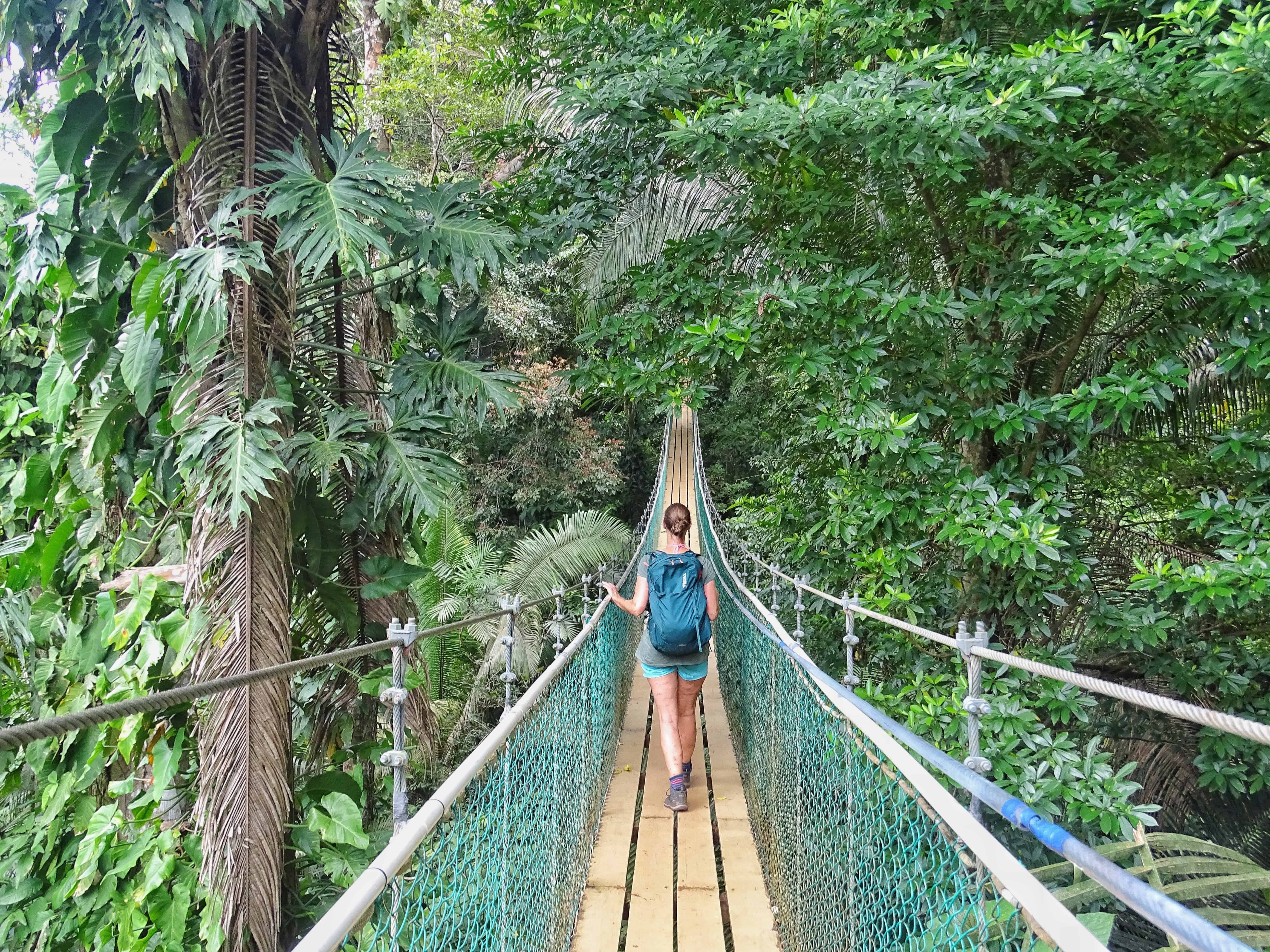Bocawina National Park