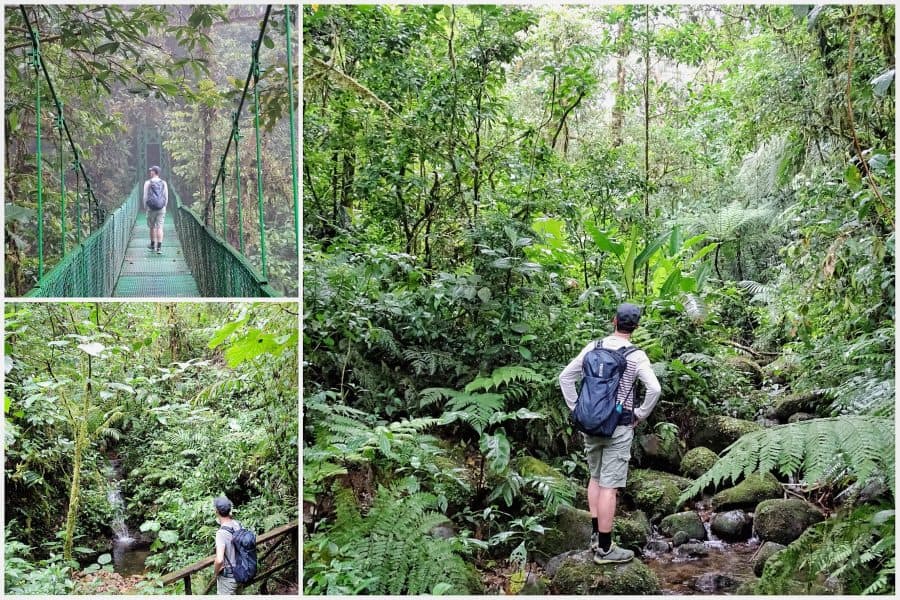 Hoogtepunten Costa Rica