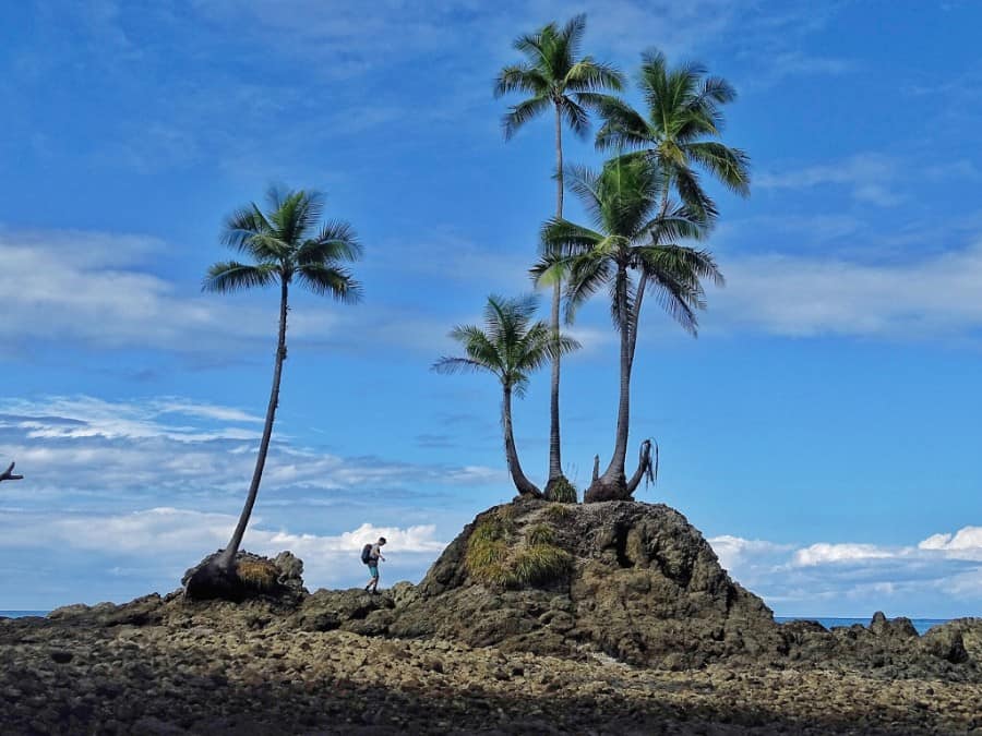 corcovado national park