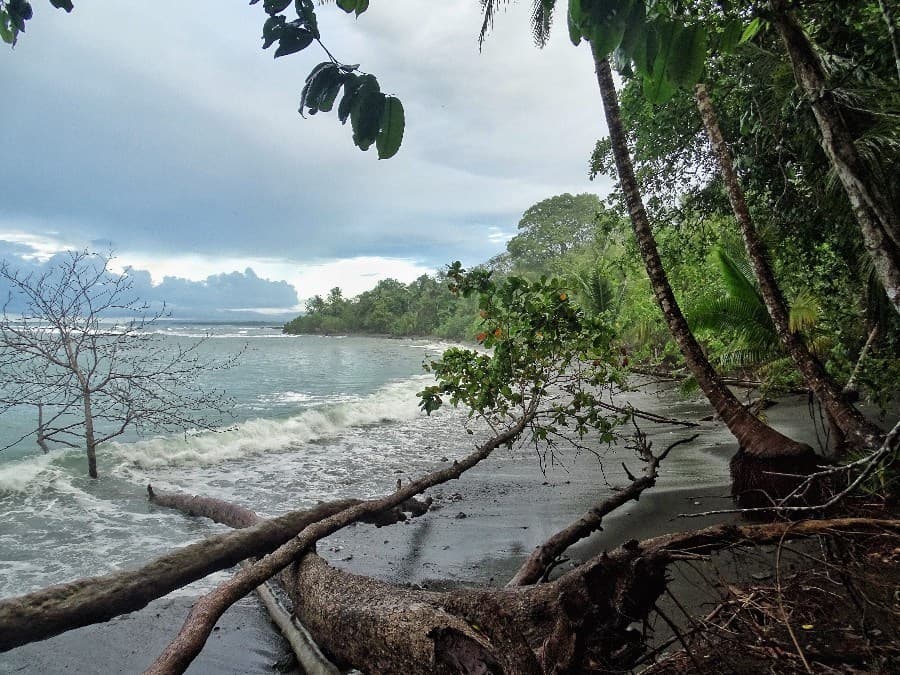 hiken corcovado national park