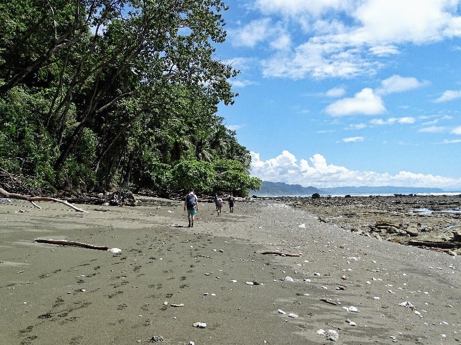 Hiken Corcovado National Park