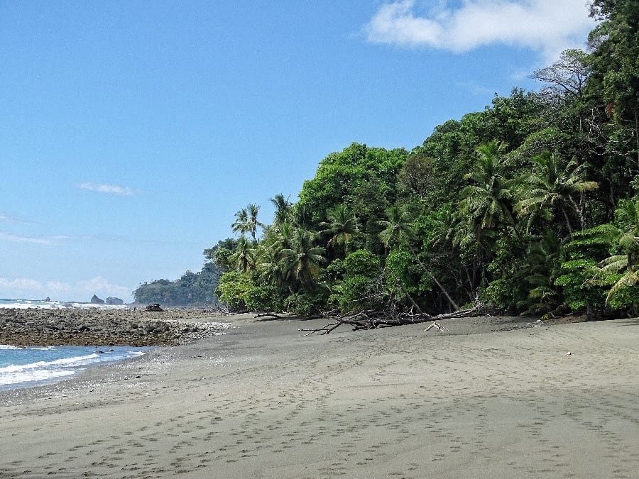 Corcovado national park hiken