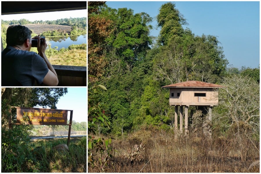 Khao Yai National Park
