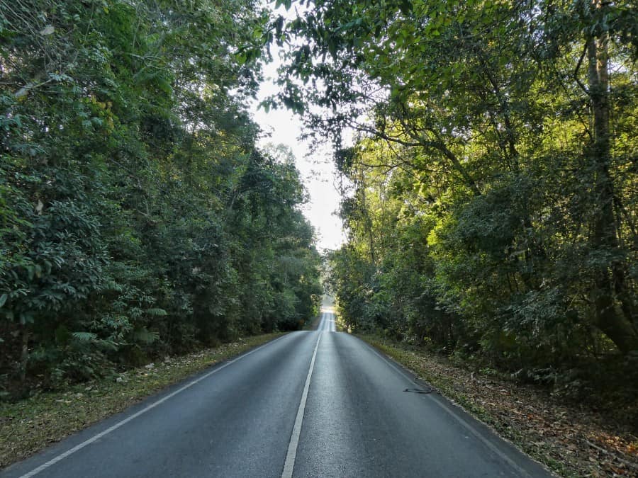 Khao Yai National Park