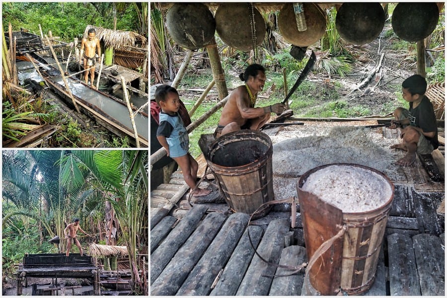 Siberut eiland Mentawai
