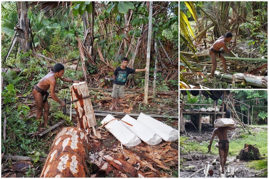 siberut eiland