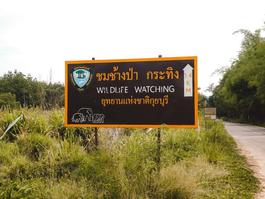 wildlife watching kui buri