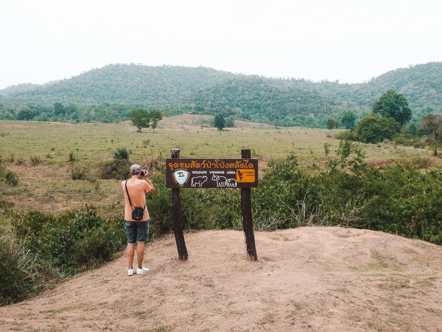 olifanten spotten thailand