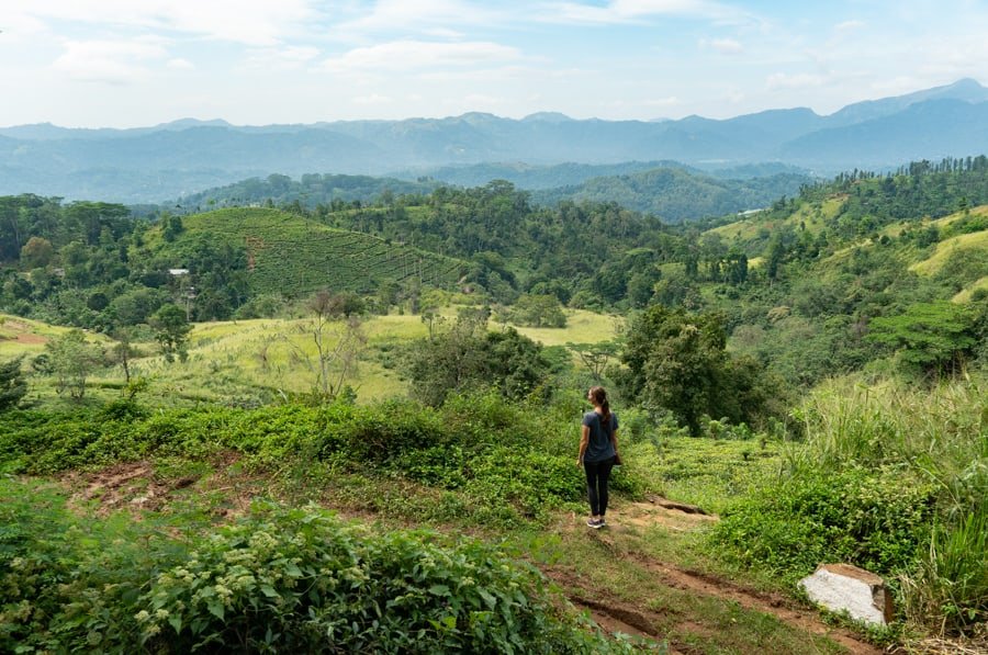 theeplantage sri Lanka