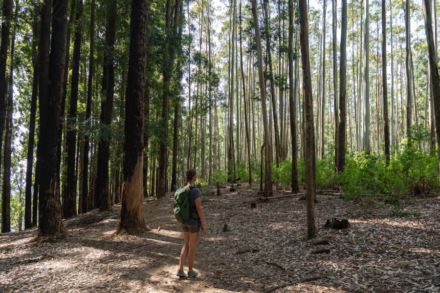 wandelen ella
