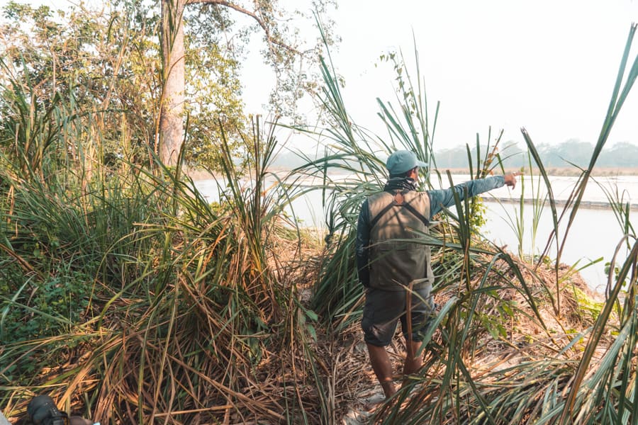 chitwan national park