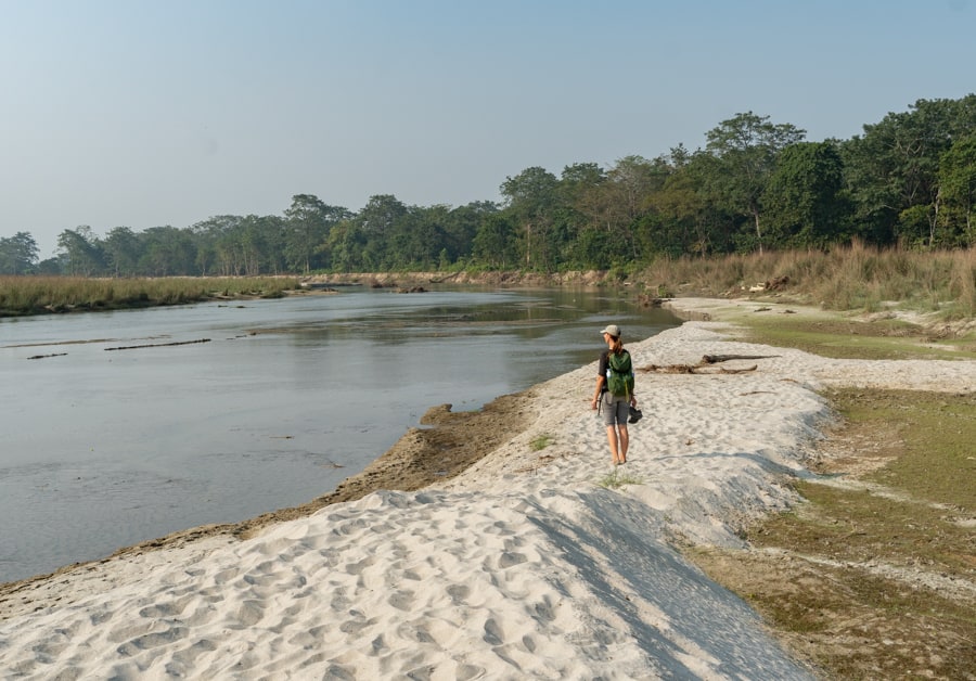 Chitwan national park