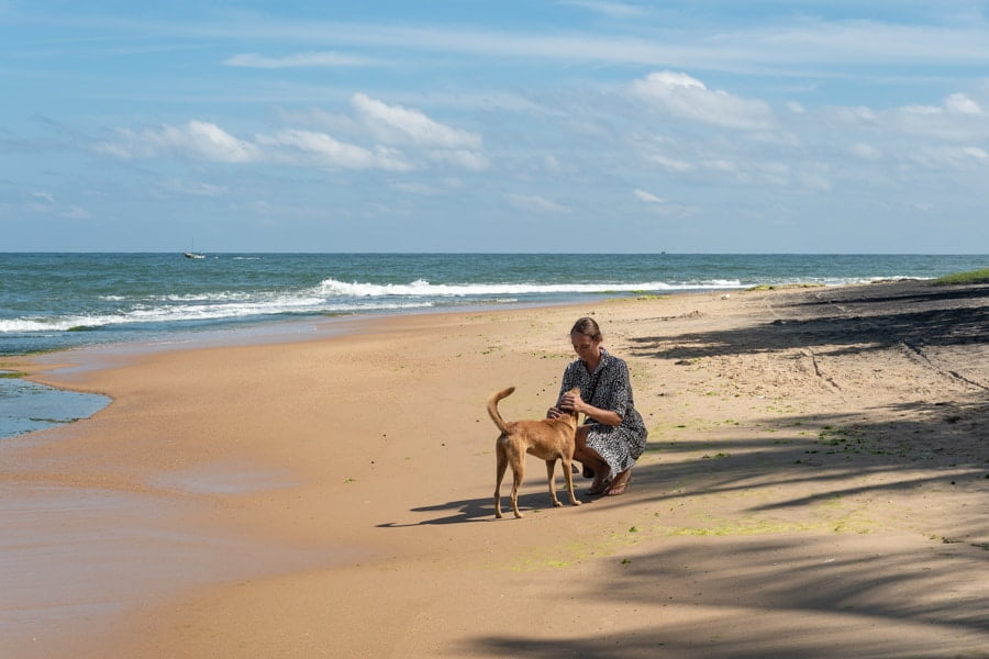 arugam bay