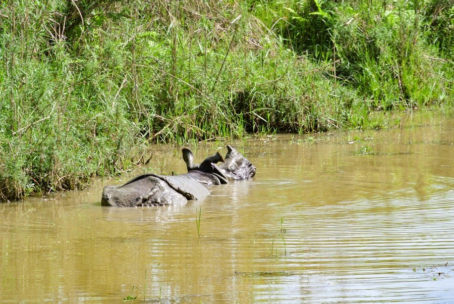 bardia naar chitwan