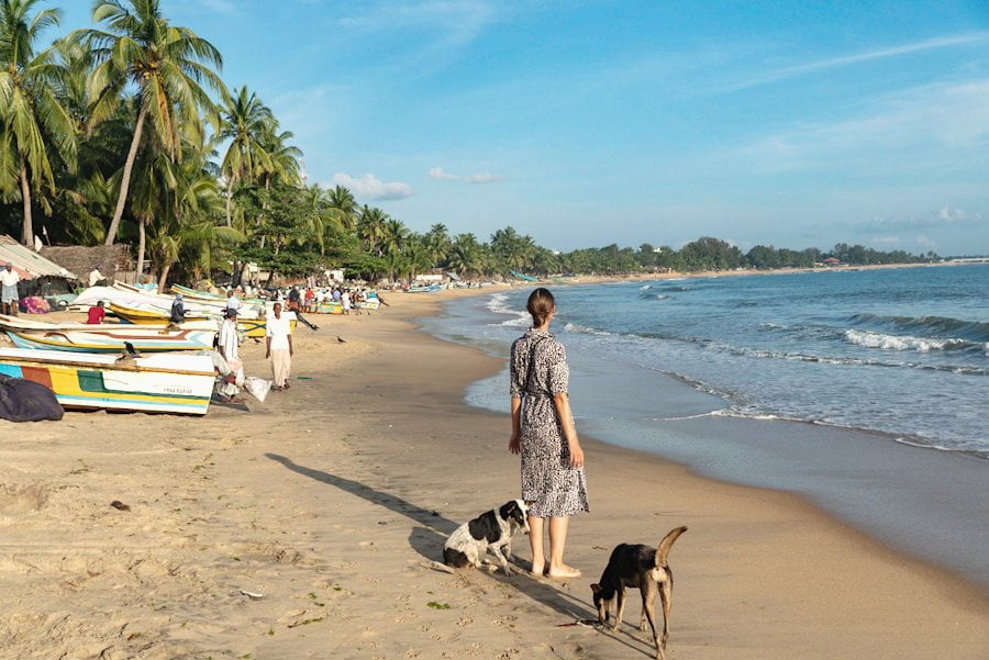 hoogtepunten sri lanka