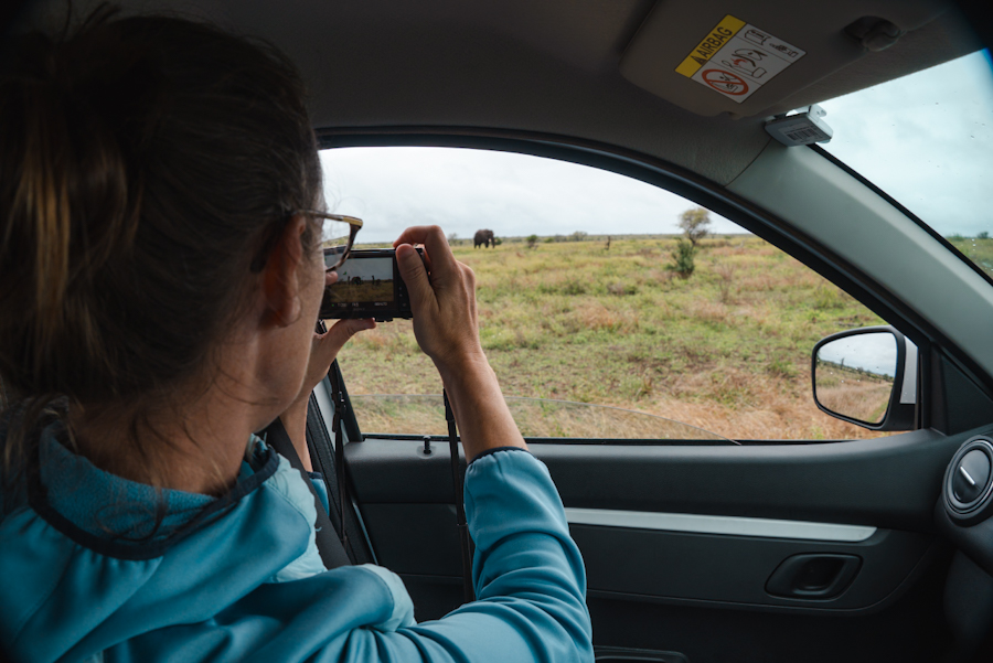 op safari in krugerpark