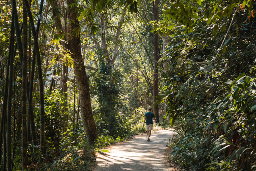 10 dagen noord thailand